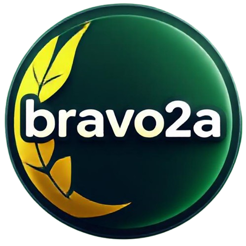 Bravo2A Logo